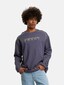 grey_113484
