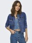 blue_144077