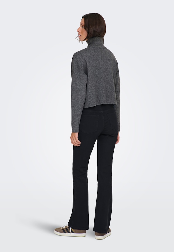 ONLAMA LIFE LS RIB ROLLNECK CC KNT-1
