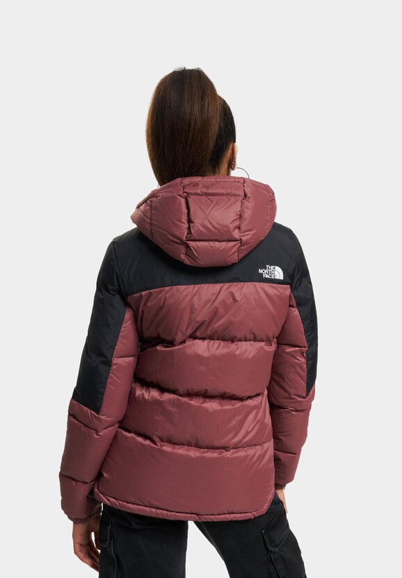 The North Face Diablo Puffer Jacket Wild-1
