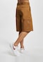 brown_30399