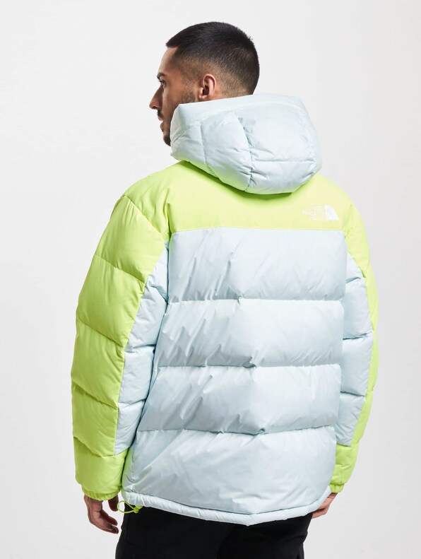The North Face Hmlyn Down Parkas-1