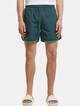 Retro Look Swim Shorts-2