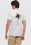 white_176458