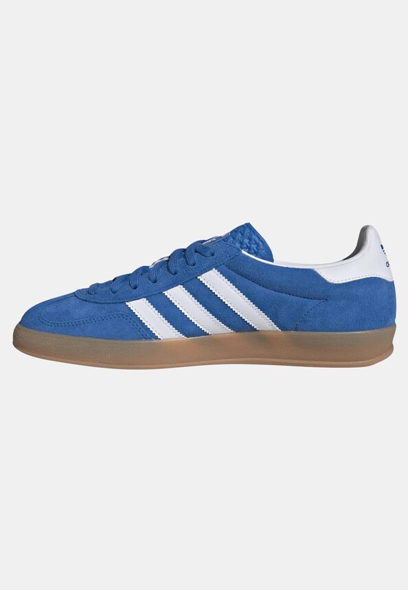 Gazelle Indoor-2