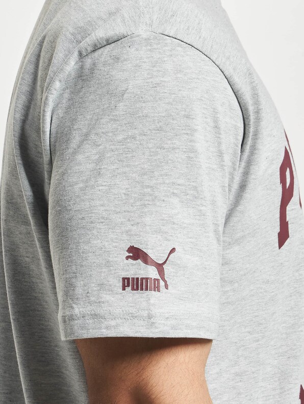 Puma Team Graphic T-Shirt Light Gray-3