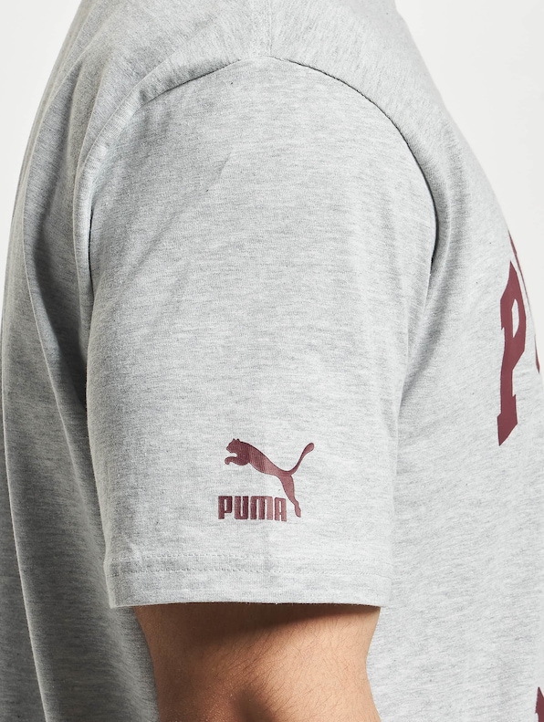 Puma Team Graphic T-Shirt Light Gray-3