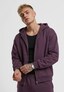violet_137434