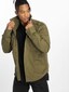 olive_37555