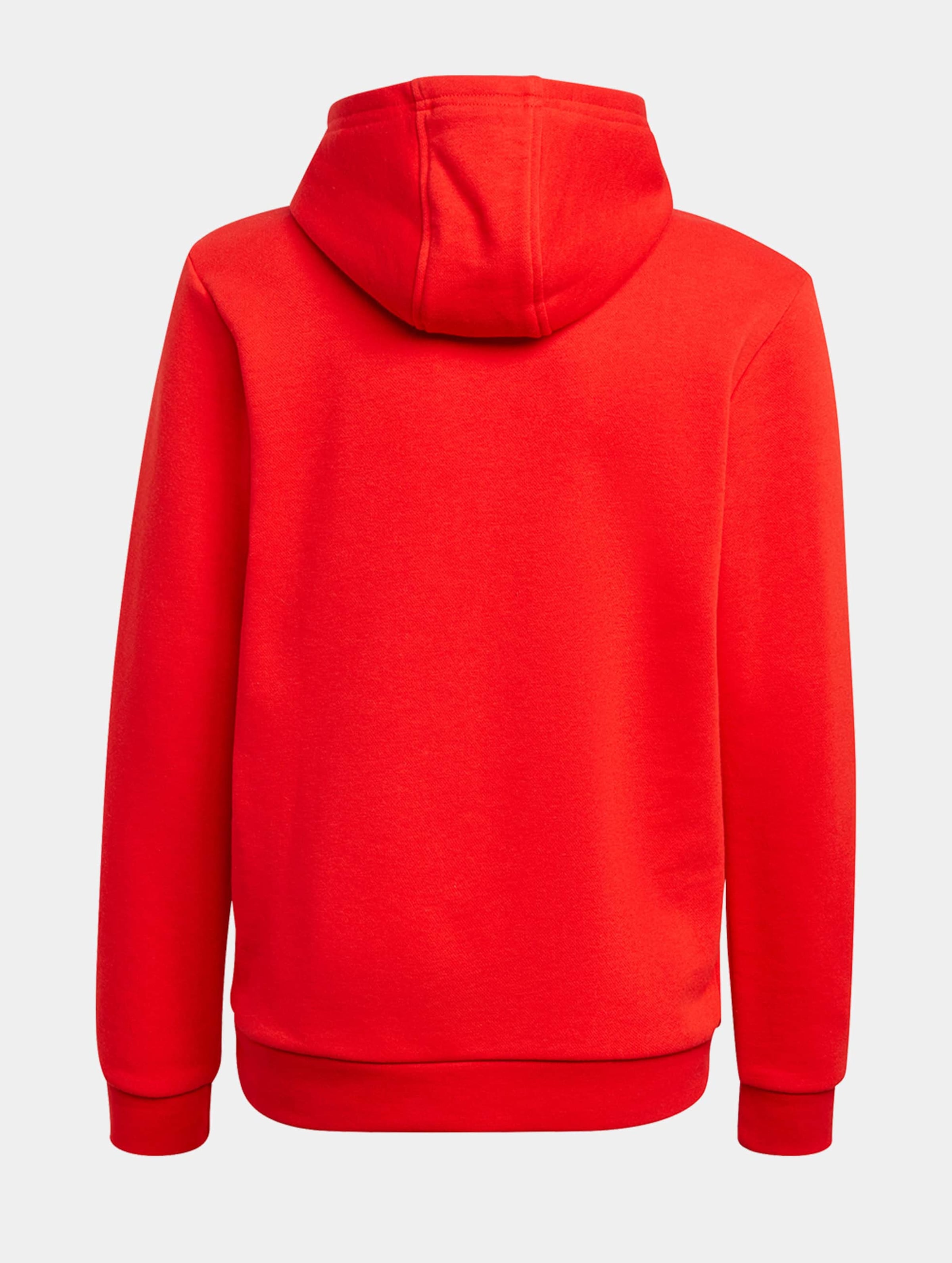 Adidas trefoil hot sale hoodie kinder