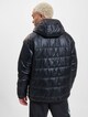 Athletics Winterized-1