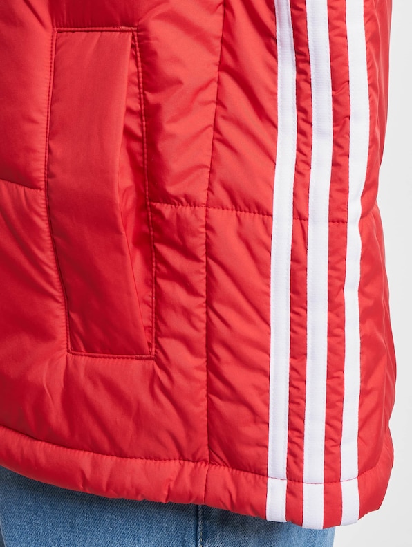 Short Winter Jacket-5