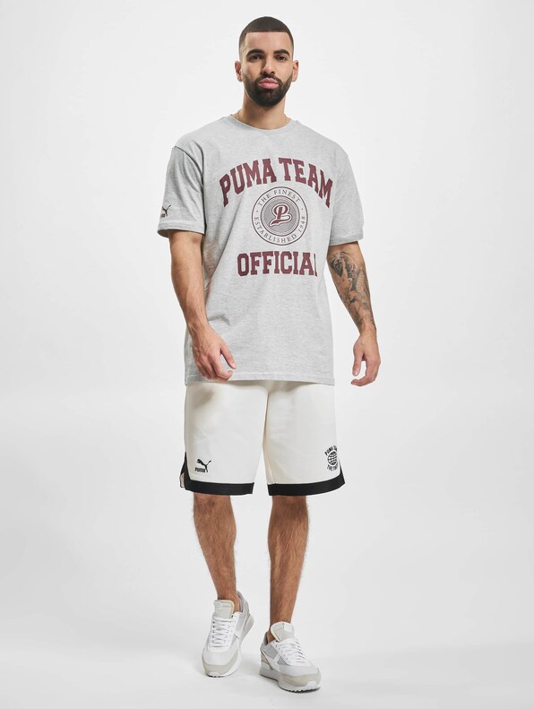 Puma Team Graphic T-Shirt Light Gray-5