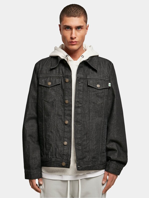 Organic Basic Denim-3