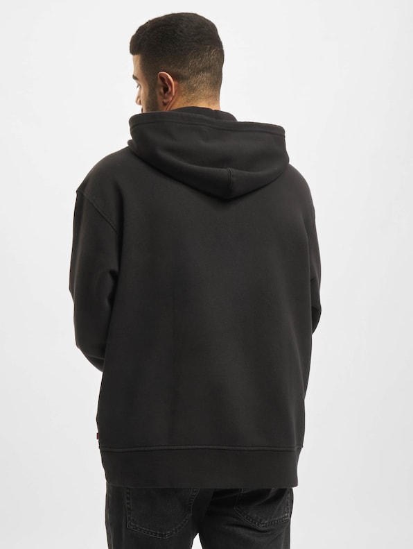 Levis Relaxed Graphic Hoodie-1