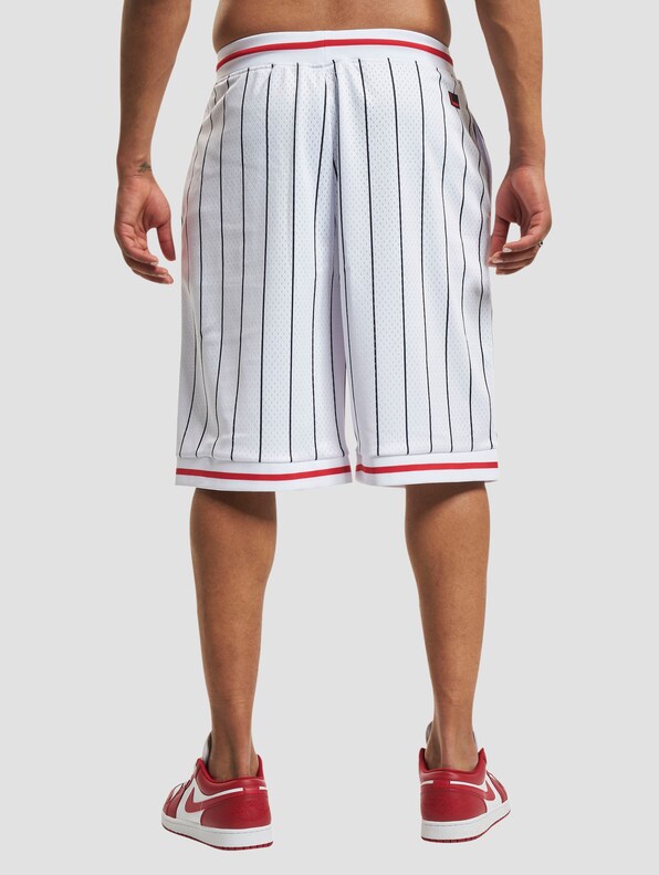FUBU Varsity Pinstriped Mesh Shorts-1