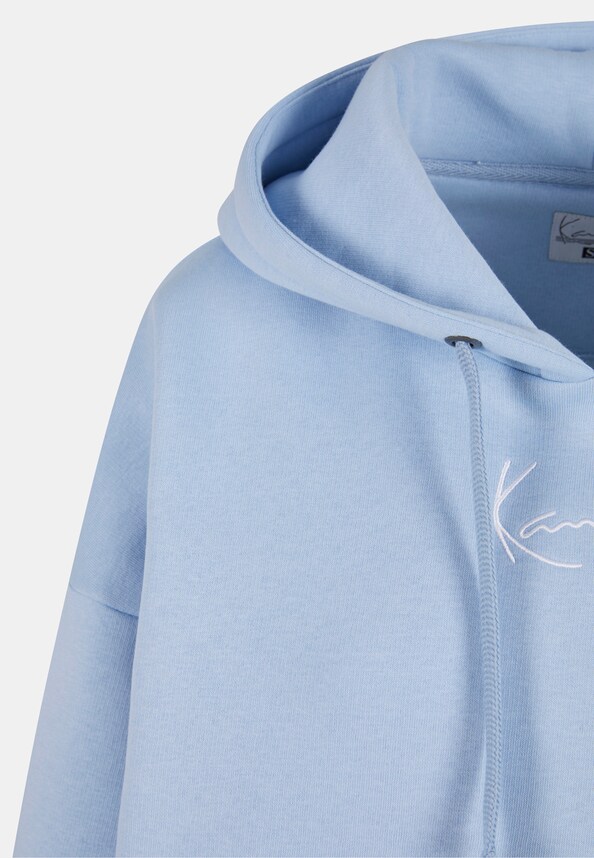 Small Signature Essential Os Hoodie-4