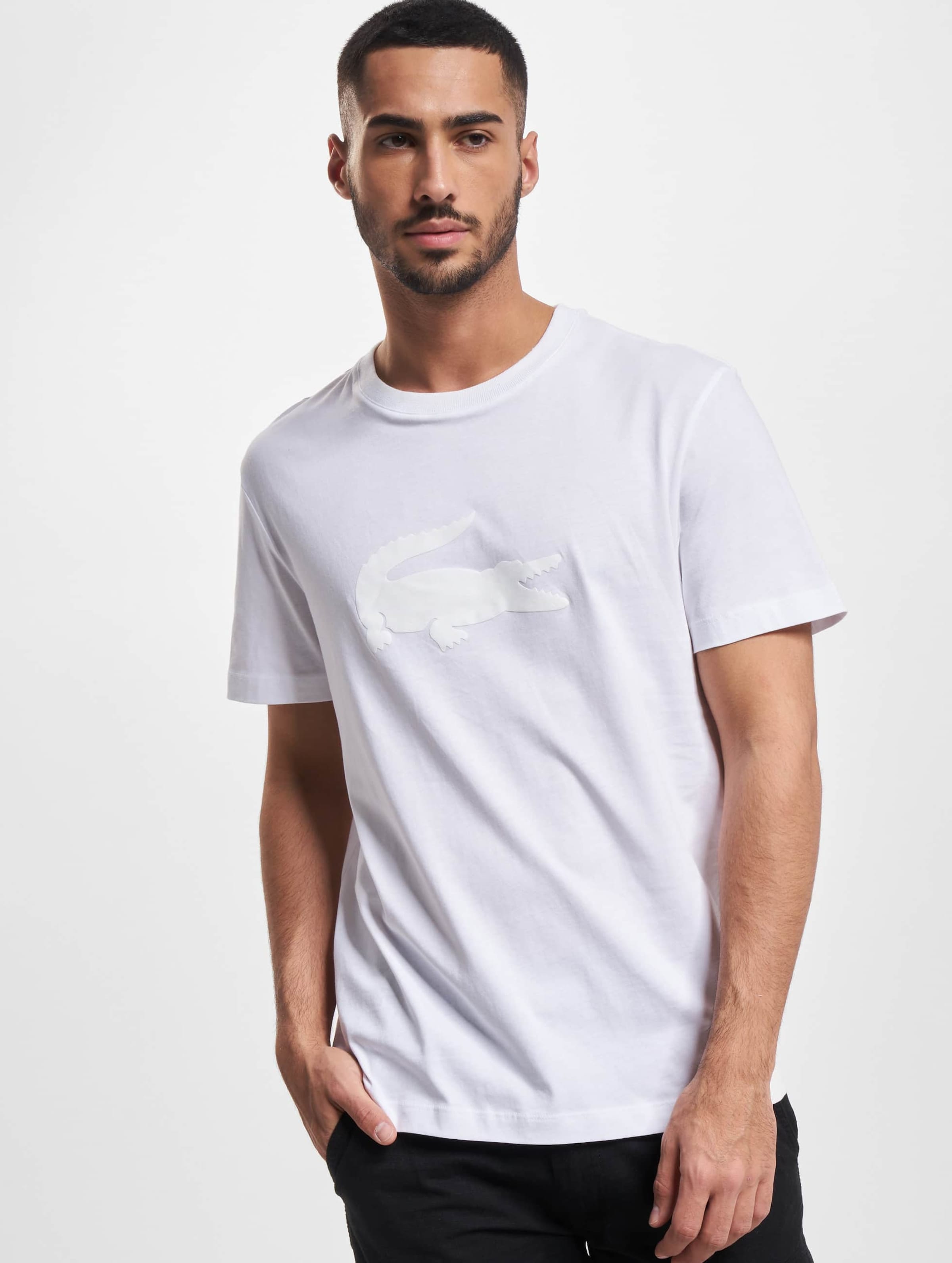 Lacoste th8602 on sale