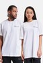 white_98245