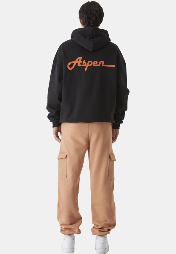Aspen-4