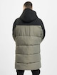 Puffer -1