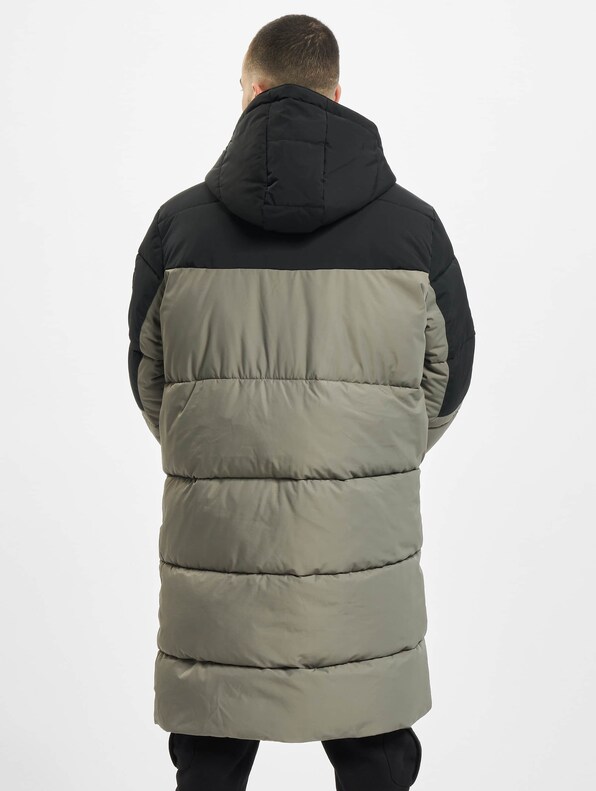 Puffer -1