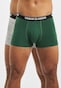 green_10231