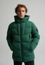 green_209742