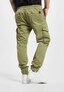 olive_55645
