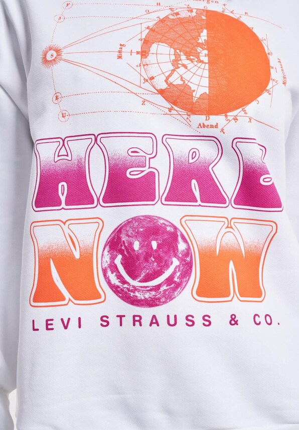 Levi's® Graphic Prism Sweatshirt-5