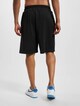 FM232-005-1 FUBU Varsity Mesh Shorts-1
