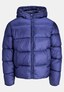 blue_156471