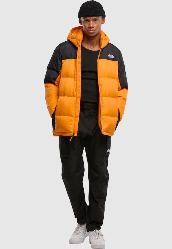 The North Face Diablo Down Weste-3