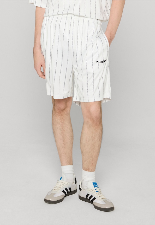 Chevron Pinstripe Shorts-0