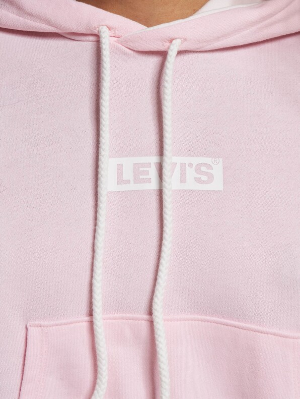 Levis Graphic Laundry Hoodie-3