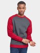2-tone Raglan Crewneck-0