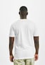 white_20131