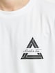 Triangle-3