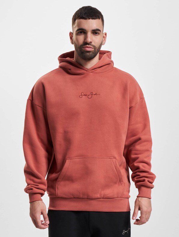 JM233-002-2 SJ Script Logo Backprint Peached Hoodie-2