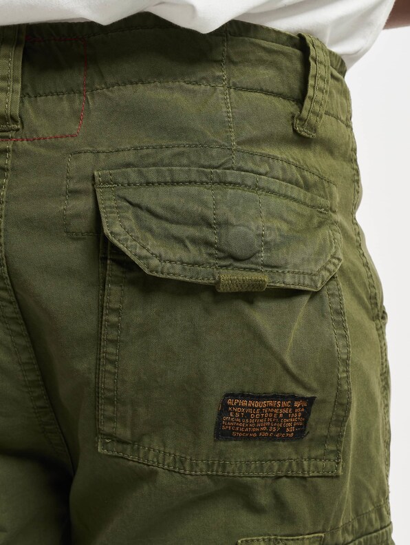 Alpha Industries Jet Shorts-6