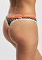multicolor_58254
