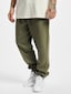 olive_5566
