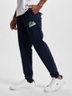 Lacoste Sweat Pant-0