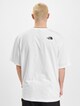 Oversize Simple Dome-1