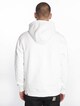 The North Face Drew Peak Hoodie-1