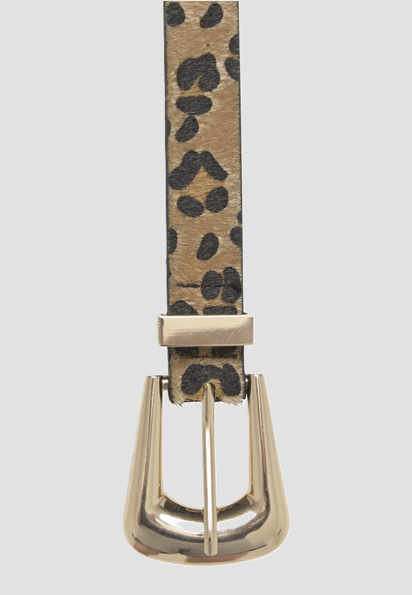 Small Leo -1