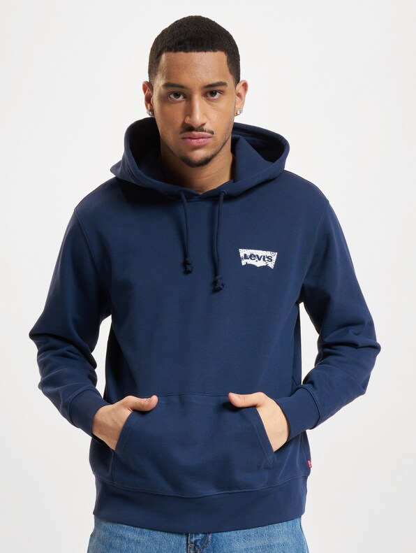 Levi's Standard Graphic Hoodies-0
