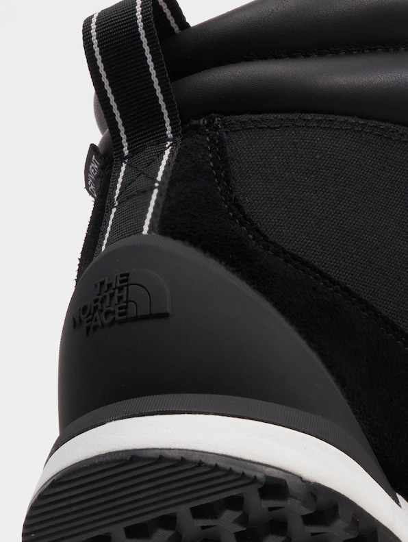 Back-To-Berkeley IV-7