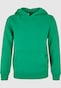 green_151328