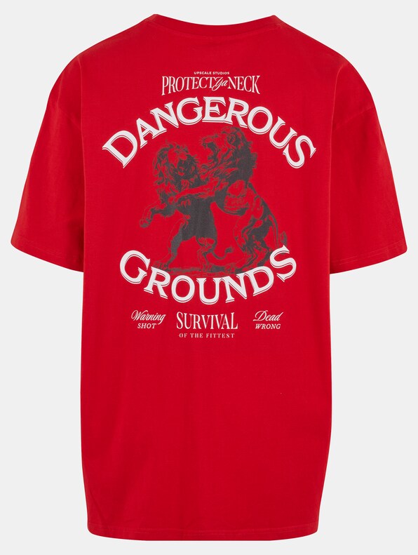 Dangerous Grounds Oversize Tee-5